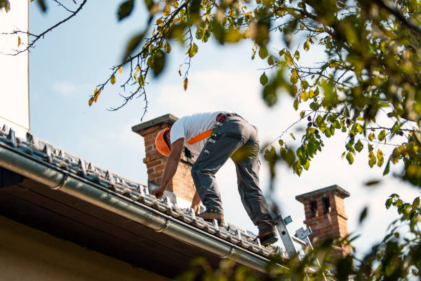 Best Commercial Roofing Services  in Campbellsport, WI