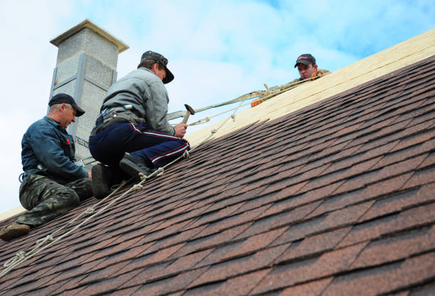 Best Roof Repair Services  in Campbellsport, WI
