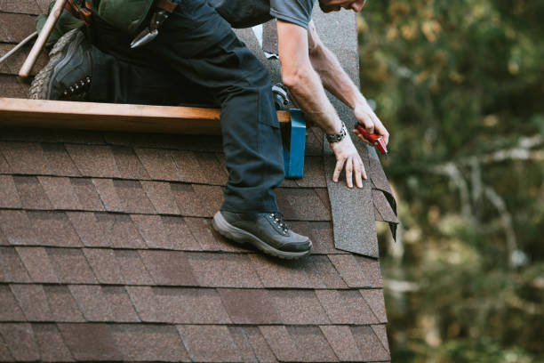 Best Shingle Roofing Installation  in Campbellsport, WI