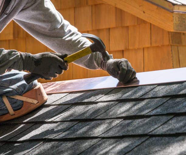 Best Roof Gutter Cleaning  in Campbellsport, WI